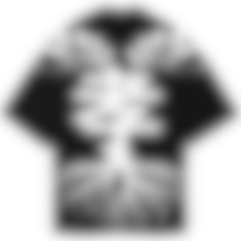 The Rooted Tee